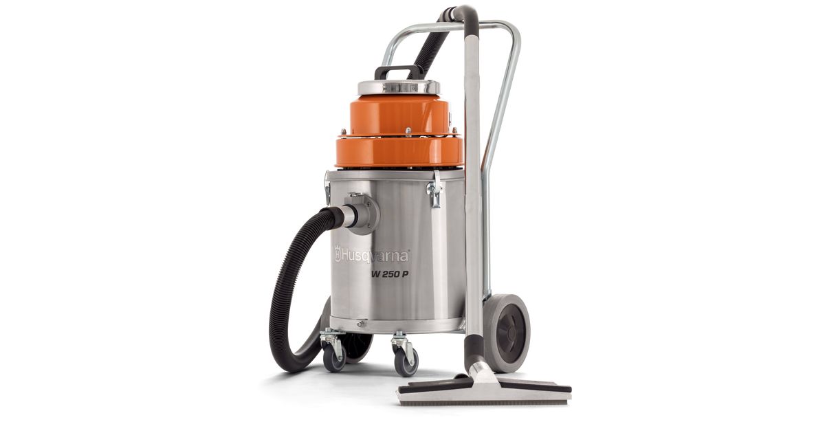 Husqvarna W 250 P