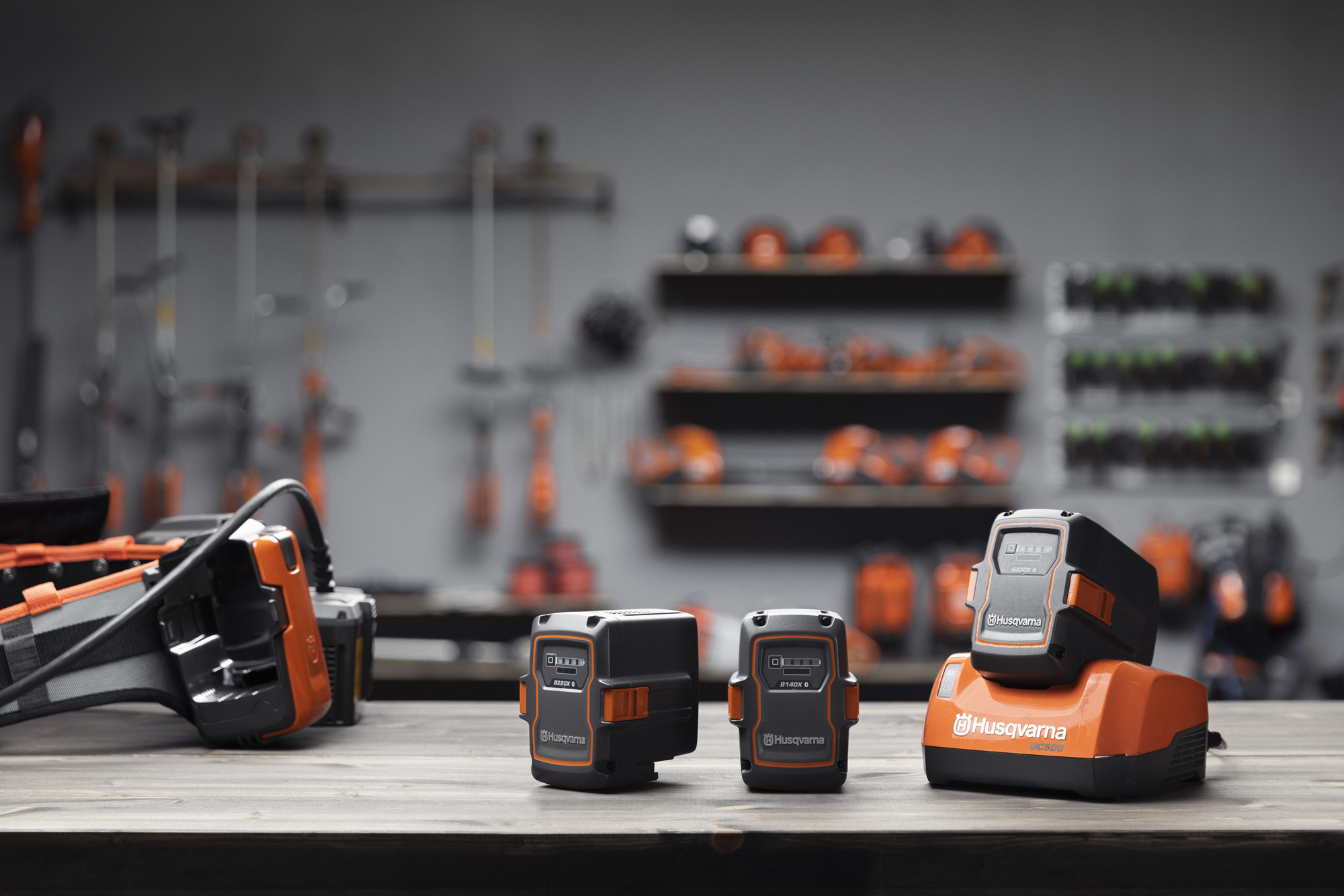 Batterie Husqvarna per uso professionale - 5