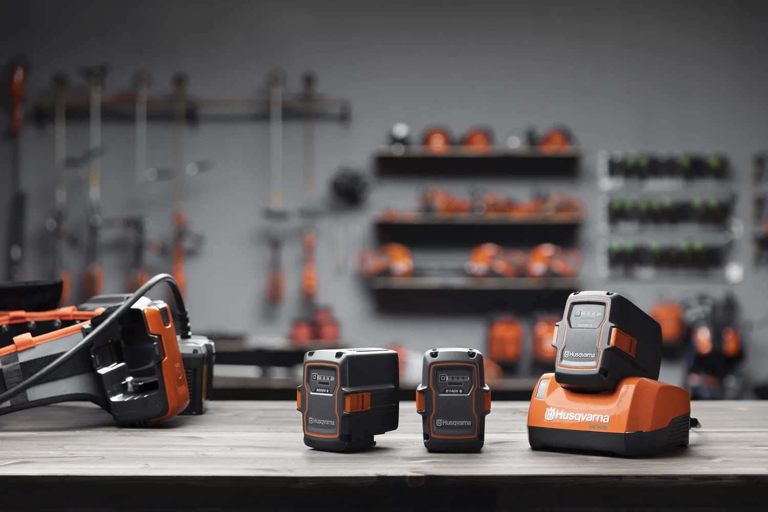 Batterie Husqvarna per uso professionale - 6